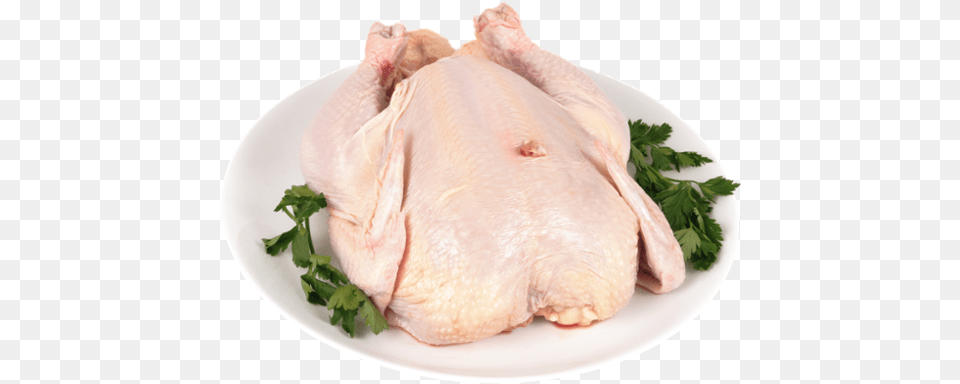 Turkey Meat, Herbs, Plant, Food, Roast Png