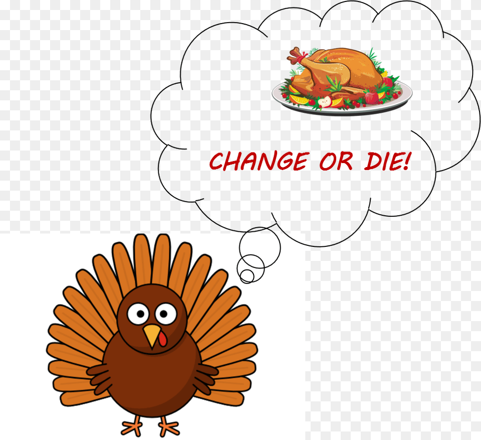 Turkey Meat, Animal, Bird, Food, Meal Png