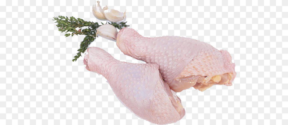 Turkey Meat, Animal, Bird, Fowl, Poultry Png