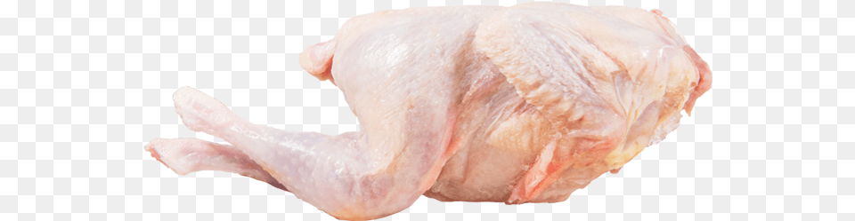Turkey Meat, Food, Roast, Animal, Bird Png