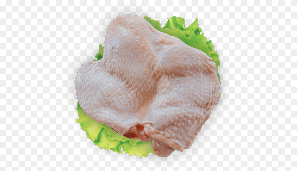 Turkey Meat, Burger, Food, Animal, Bird Png Image