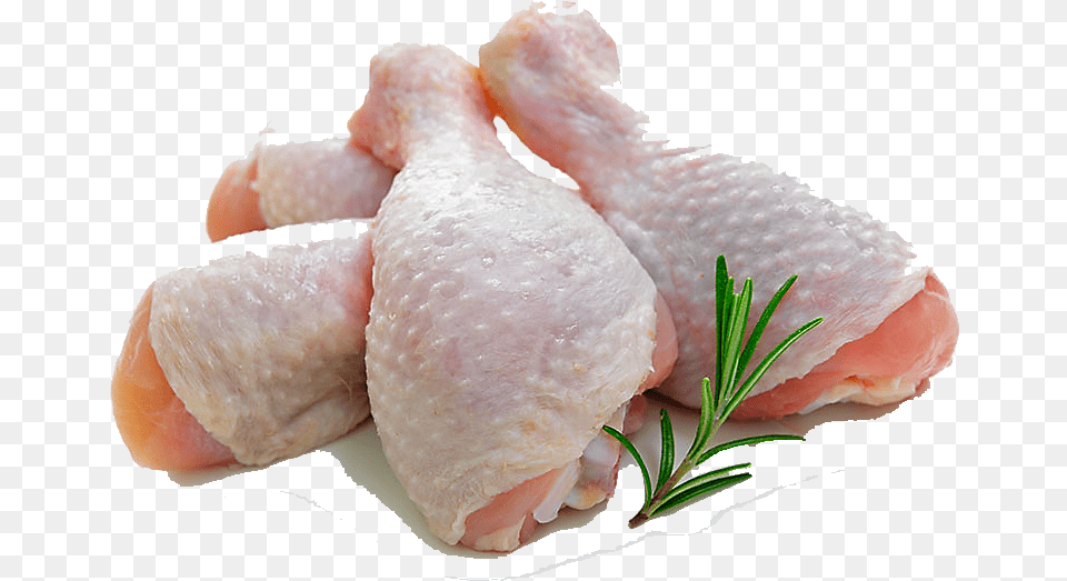 Turkey Meat, Animal, Bird, Fowl, Poultry Png Image