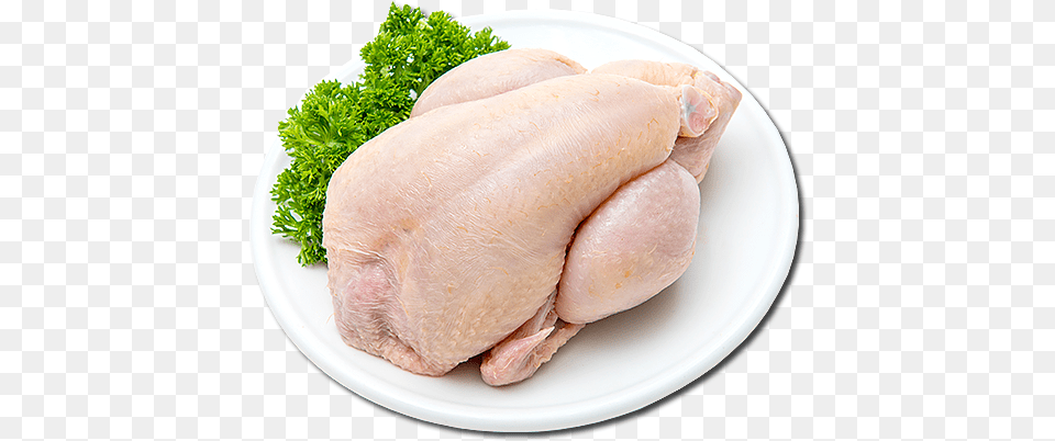 Turkey Meat, Herbs, Plant, Parsley, Food Png