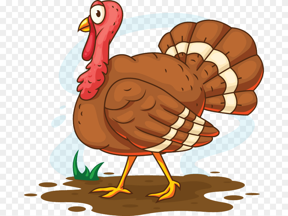 Turkey Meat Cartoon Illustration Turkey Illustration, Animal, Bird, Fowl, Poultry Free Png