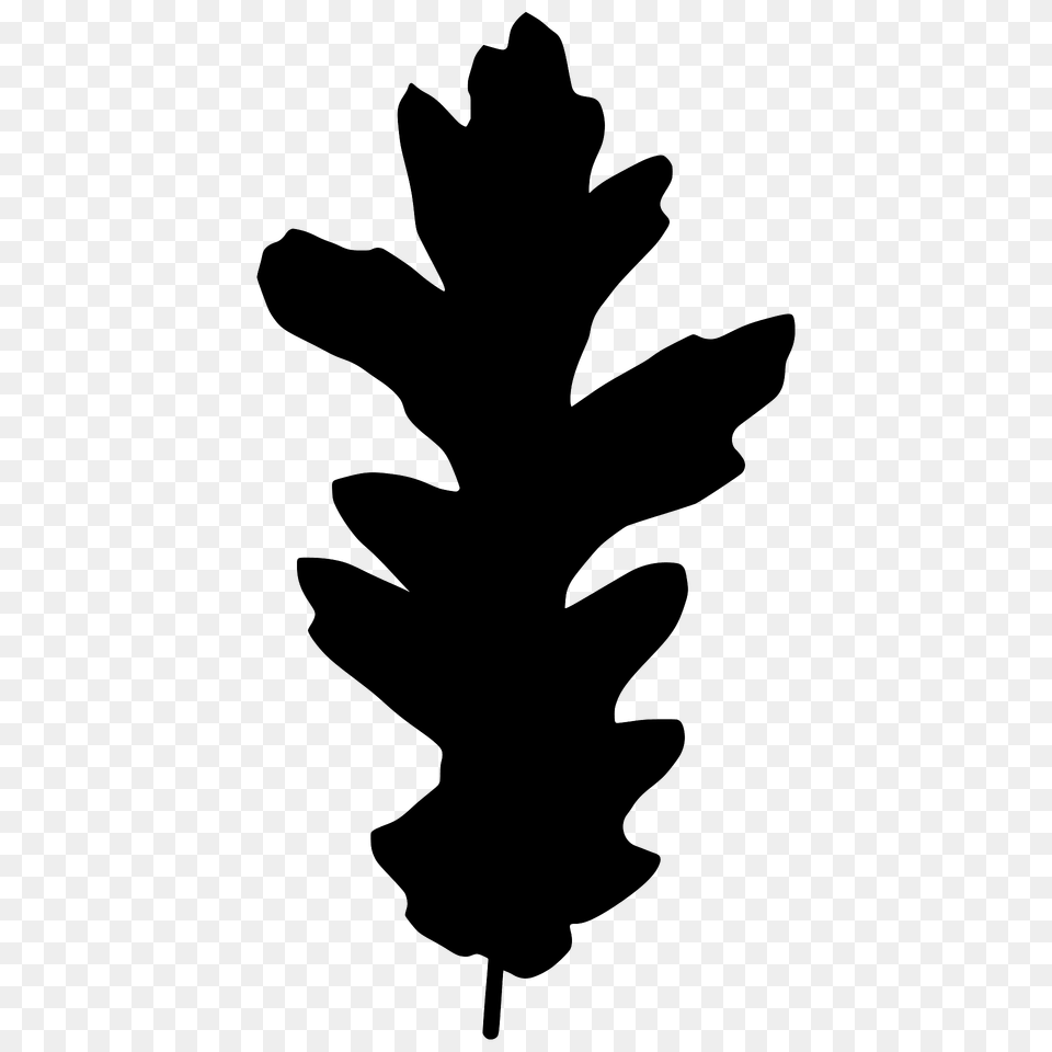 Turkey Oak Leaf Silhouette, Plant, Tree Png Image