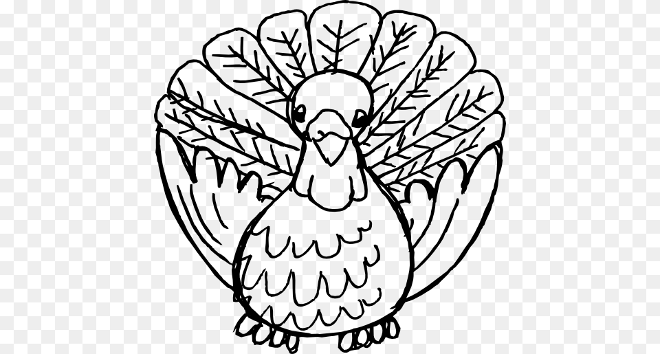 Turkey Outline Clip Art, Animal, Bird Png Image