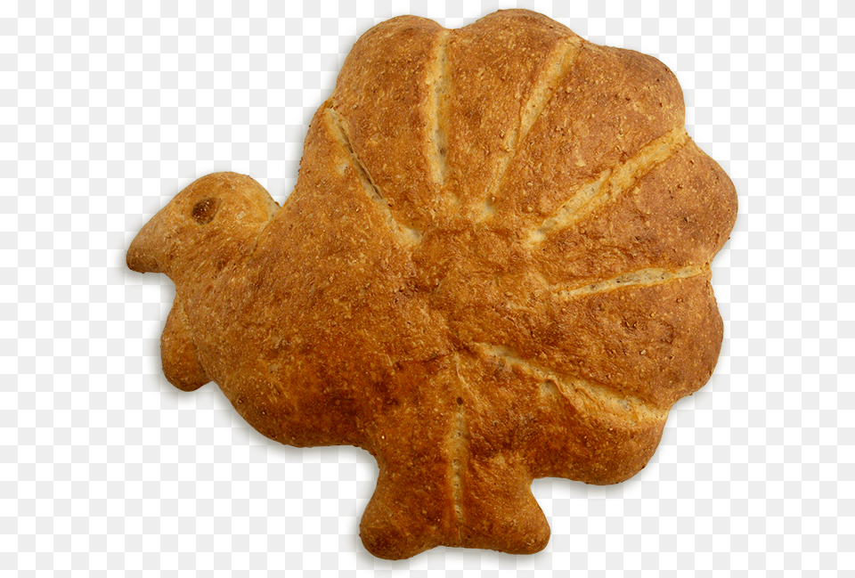 Turkey Shaped Bread Animal Cracker, Food, Sweets, Cookie Png Image