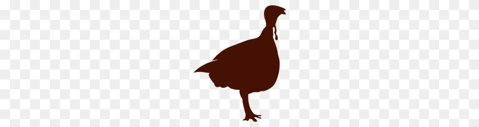 Turkey Silhouette, Person, Animal, Bird Free Png