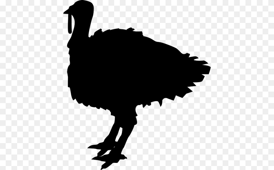 Turkey Silhouette, Gray Free Png Download