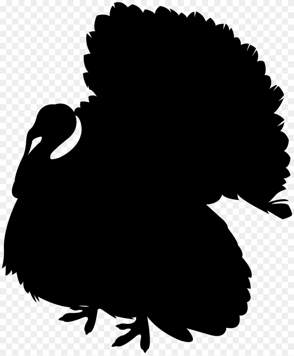 Turkey Silhouette, Animal, Bird, Vulture, Person Png Image