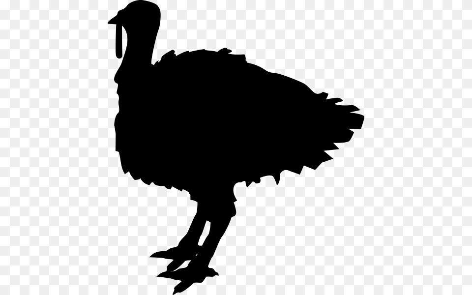 Turkey Silhouette, Gray Png Image
