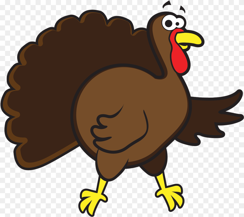 Turkey Vector, Animal, Bird, Beak, Fowl Free Transparent Png