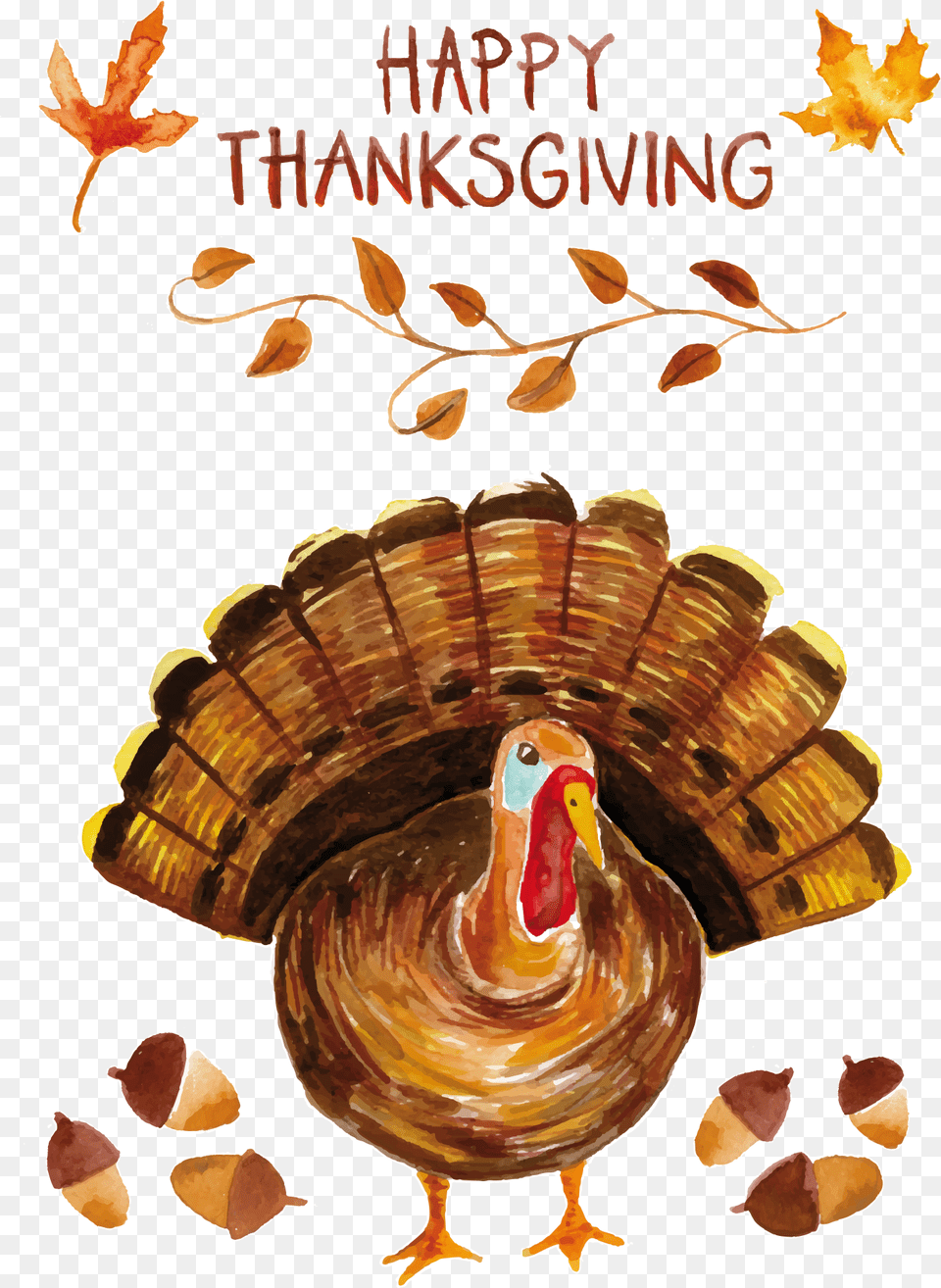 Turkey Watercolor Painting Thanksgiving Happy Thanksgiving Turkey Poster, Animal, Invertebrate, Sea Life, Seashell Png
