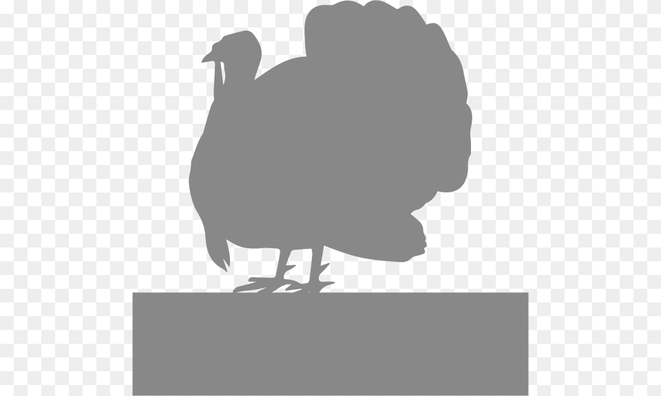 Turkey Wild Turkey, Silhouette, Animal, Mammal, Pig Png Image