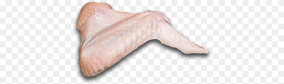 Turkey Wing, Baby, Person, Animal, Bird Free Png Download