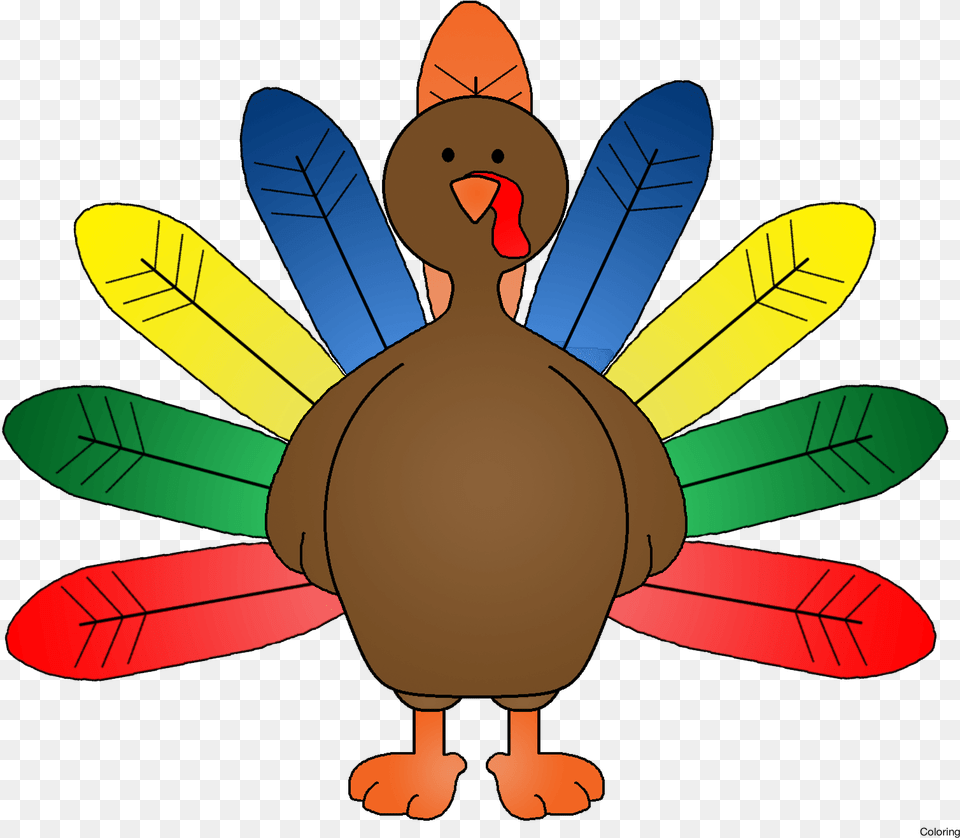 Turkey With Colored Feathers, Aircraft, Airplane, Animal, Transportation Png Image