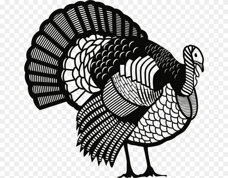 Turkeyline Artdomesticated Turkey, Animal, Bird, Fowl, Poultry Free Transparent Png