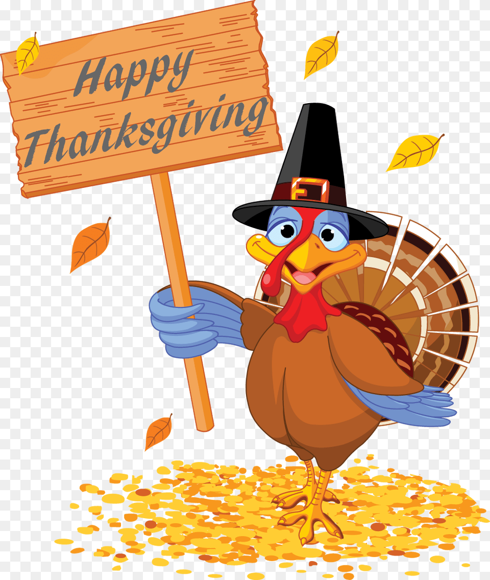 Turkeyy Thanksgiving Turkey And Pumpkin, Clothing, Hat, Nature, Outdoors Free Png Download