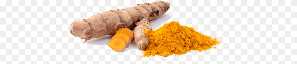 Turmeric Root Anti Inflammatory Herb Turmeric, Food, Ginger, Plant, Spice Free Png Download