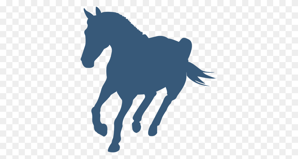 Turning Horse Silhouette, Animal, Colt Horse, Mammal, Foal Png Image