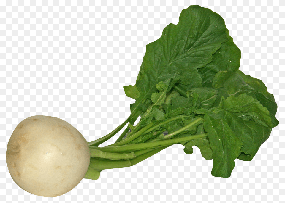 Turnip, Food, Produce, Plant, Vegetable Free Transparent Png