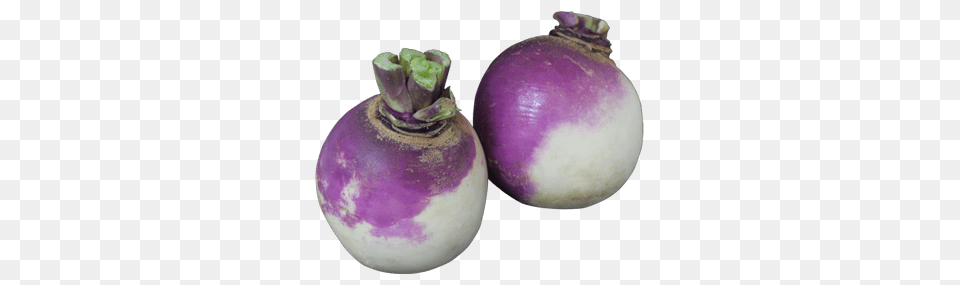 Turnip, Food, Plant, Produce, Rutabaga Png Image
