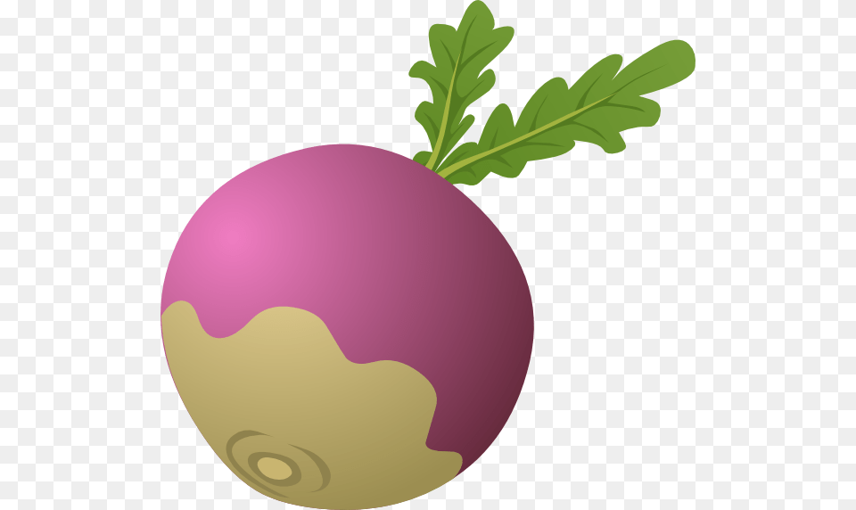 Turnip Clip Art, Food, Produce, Plant, Vegetable Png