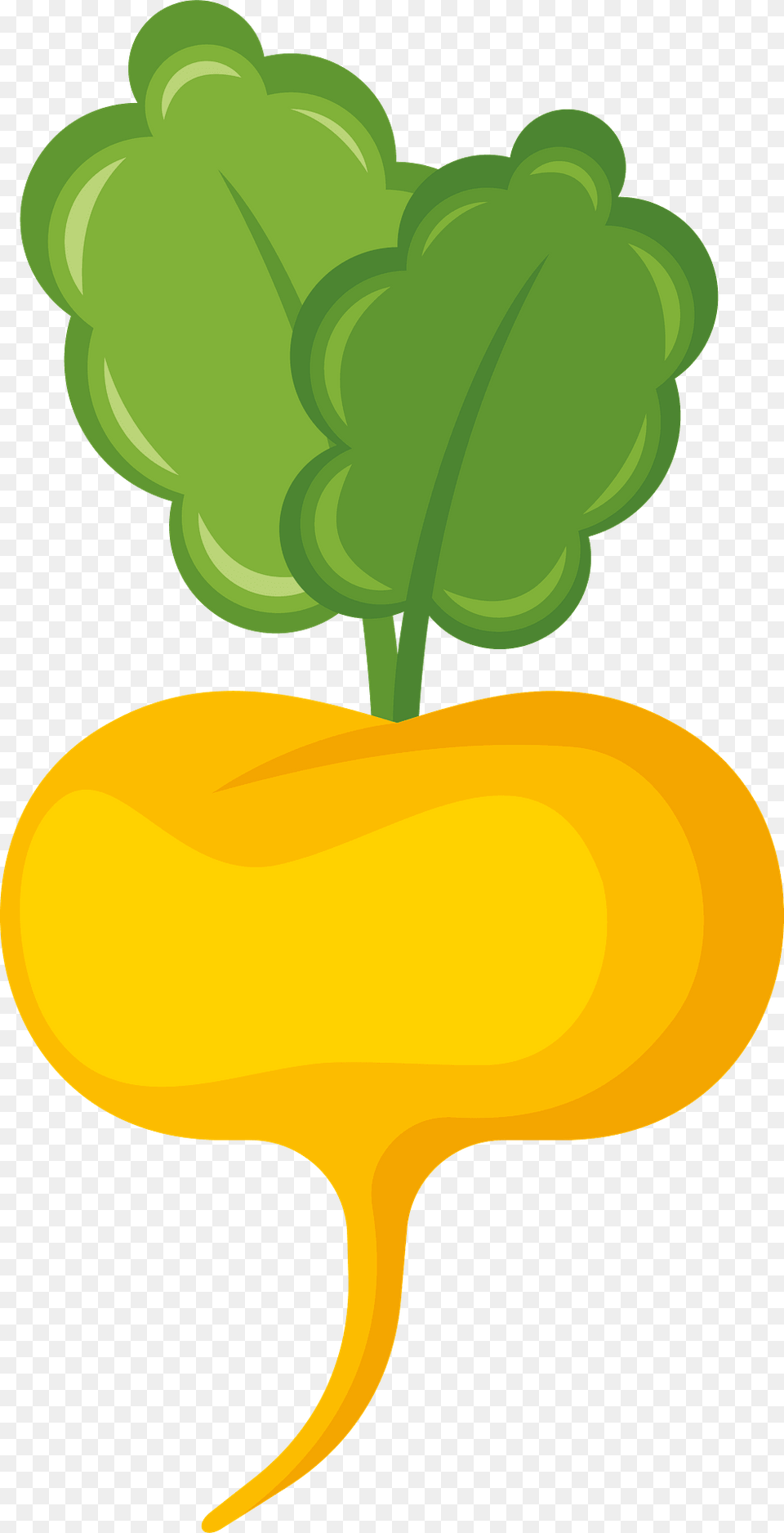 Turnip Clipart, Food, Produce, Carrot, Plant Free Png