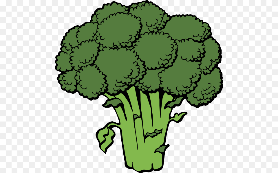 Turnip Clipart, Broccoli, Food, Plant, Produce Png Image