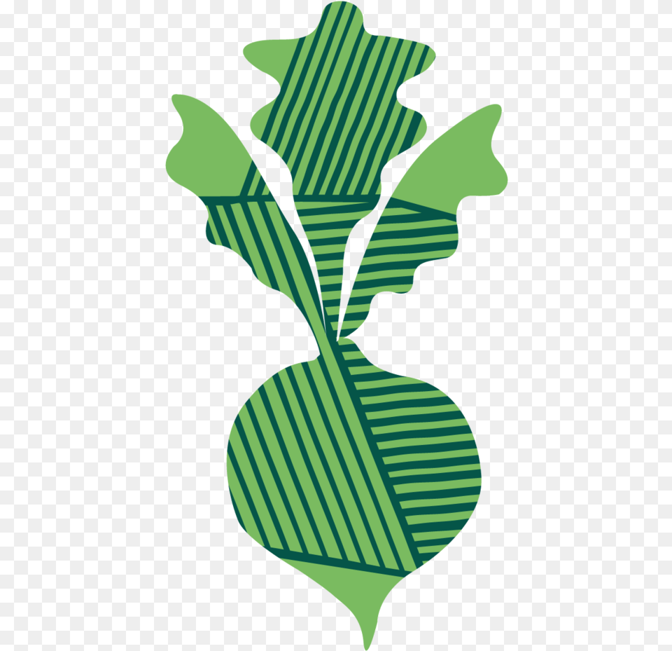 Turnip Clipart Download, Leaf, Plant, Arugula, Food Png Image