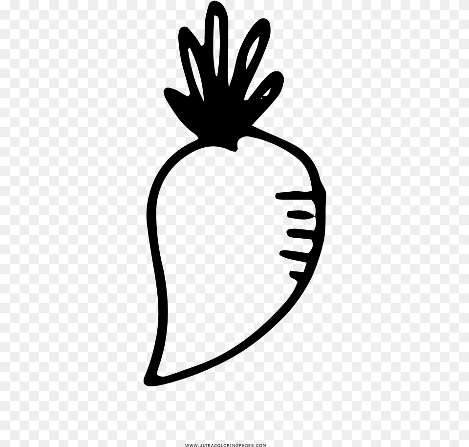 Turnip Coloring Page, Gray Free Transparent Png