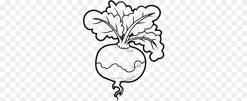 Turnip Drawing, Gray Free Transparent Png