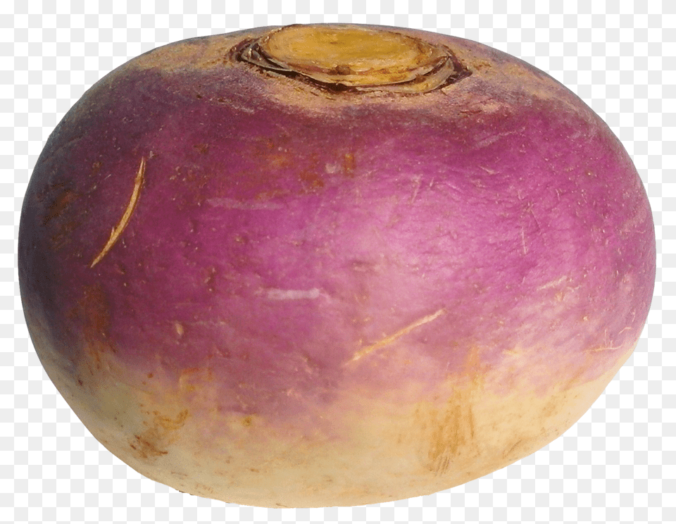 Turnip Image, Food, Plant, Produce, Rutabaga Free Transparent Png