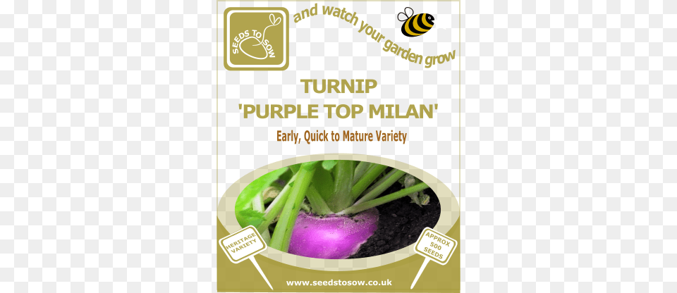 Turnip Purple Top Milan Seed, Food, Produce, Plant, Vegetable Free Png Download