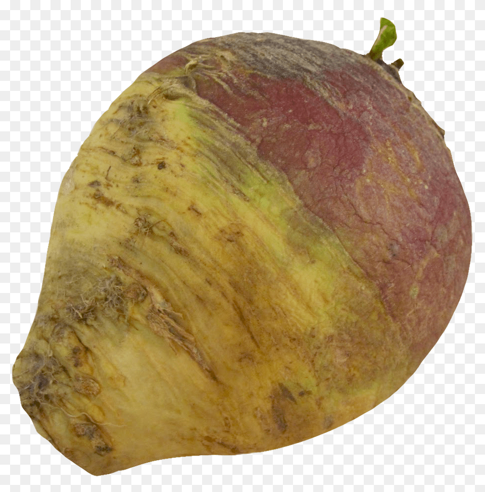 Turnip Rutabaga Root Image, Food, Plant, Produce, Vegetable Free Transparent Png