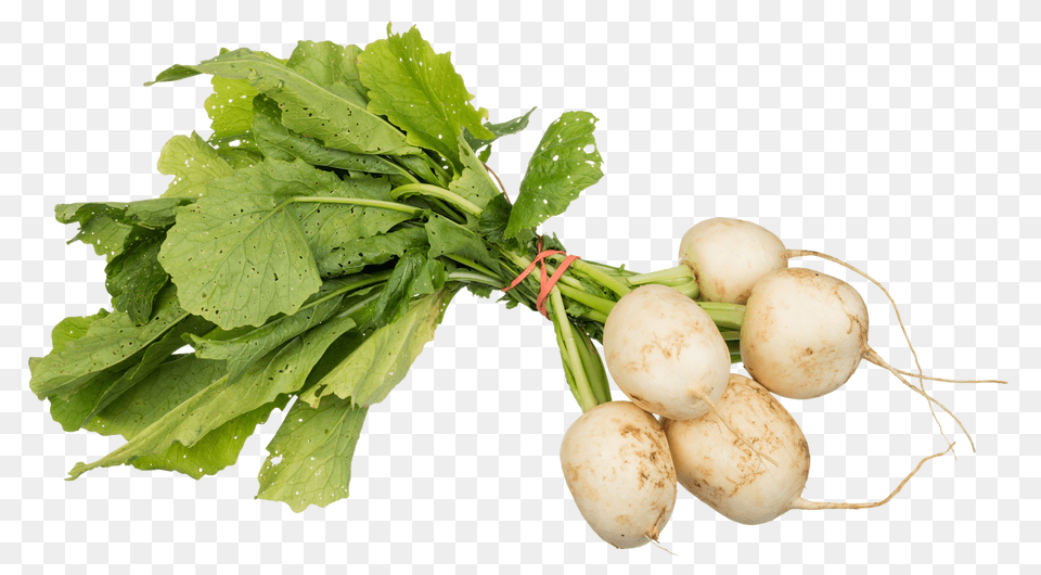 Turnips Image, Food, Produce, Plant, Radish Free Png Download