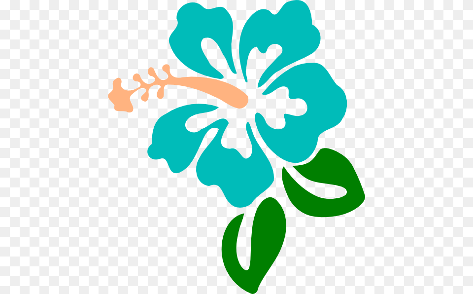 Turquoise, Flower, Hibiscus, Plant Free Transparent Png