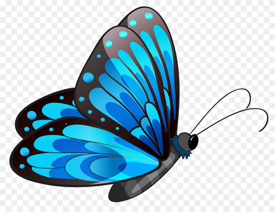 Turquoise Butterflies Clip Art, Animal, Butterfly, Insect, Invertebrate Free Png