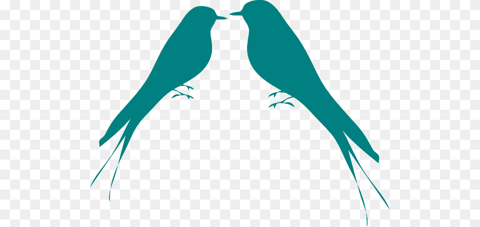 Turquoise Clipart Bird Shadow, Animal, Blackbird, Fish, Sea Life Free Png
