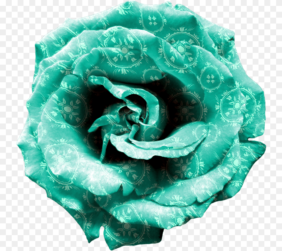 Turquoise Flower, Plant, Rose, Accessories Free Transparent Png