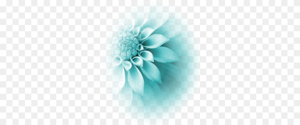 Turquoise Flower Flor Azul Tiffany, Dahlia, Plant, Plate Free Transparent Png