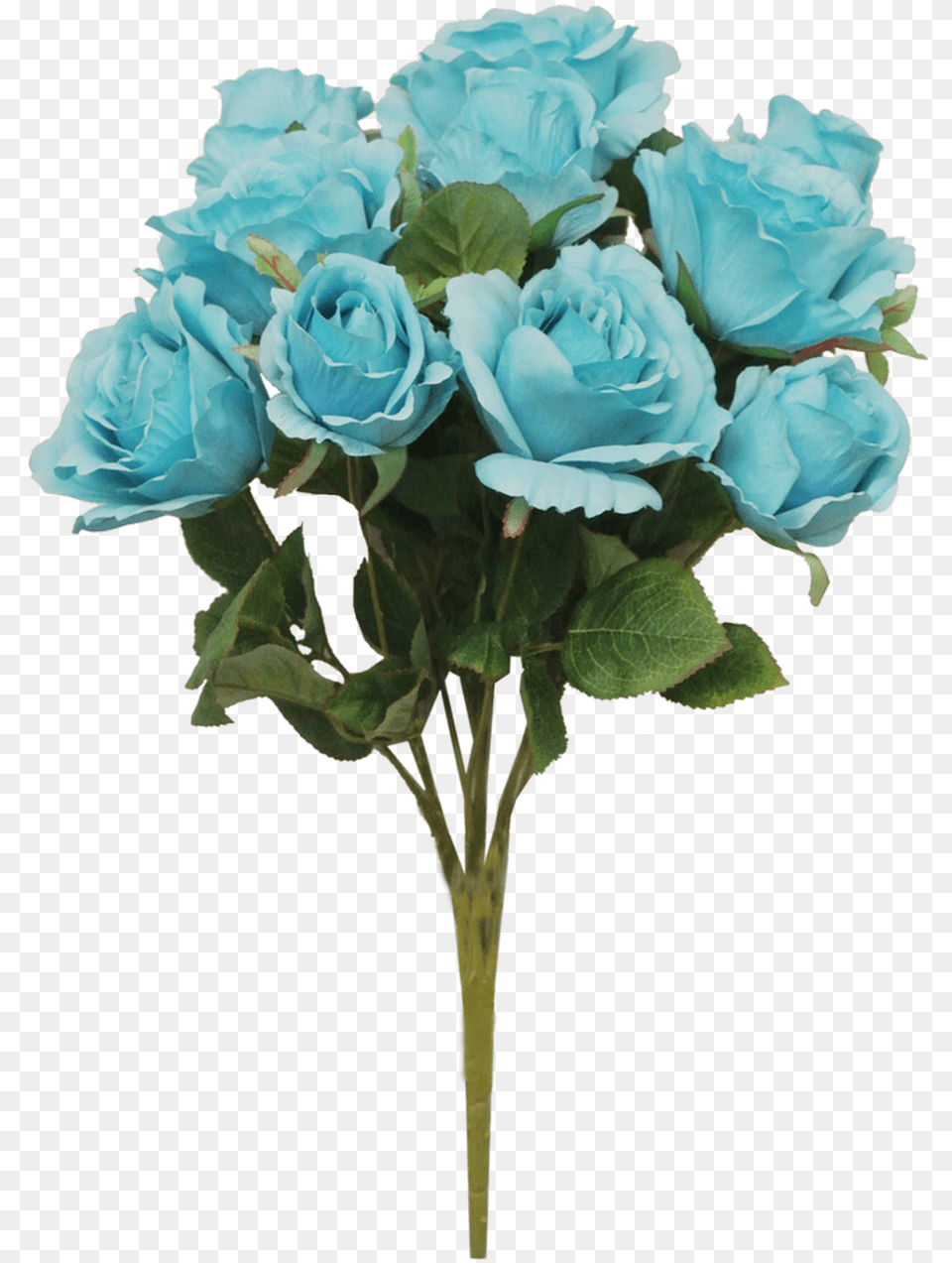 Turquoise Garden Roses, Flower, Flower Arrangement, Flower Bouquet, Plant Free Transparent Png