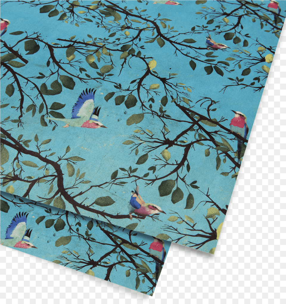 Turquoise Holler Bird Gift Wrap, Home Decor, Animal, Plant Png Image