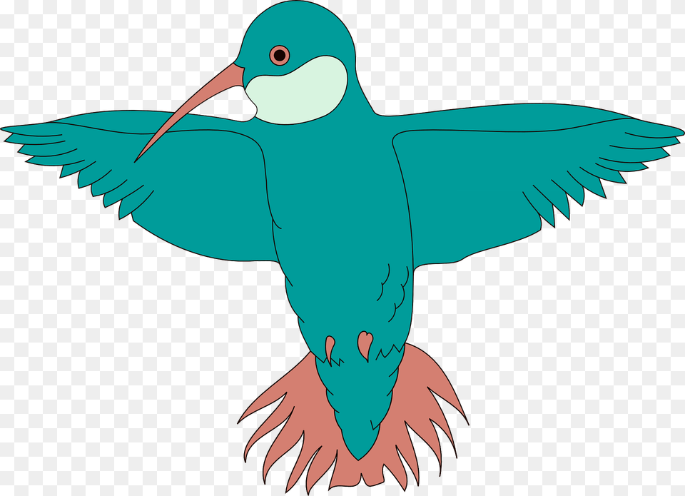 Turquoise Hummingbird Clipart, Animal, Beak, Bird, Fish Png Image