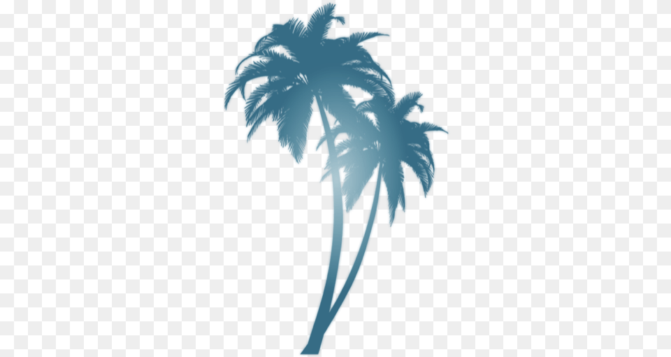 Turquoise Palm Sunlight Tree Tattoo Badass Tattoos Palm Tree Clipart Black, Palm Tree, Plant, Person, Outdoors Png