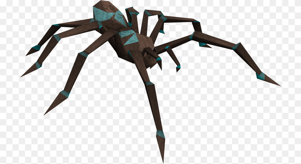 Turquoise Spider Wiki, Animal, Invertebrate, Blade, Dagger Png