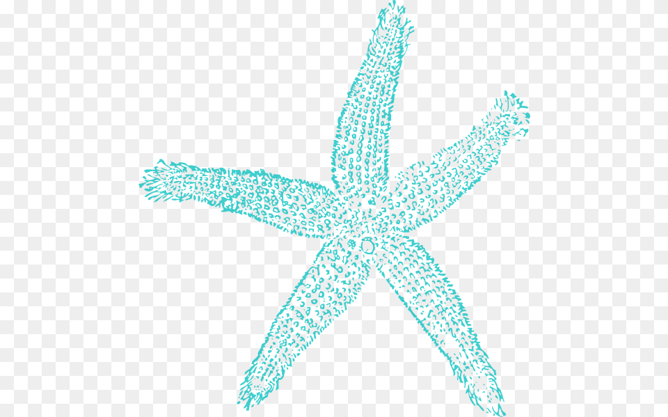 Turquoise Starfish Aqua Starfish Clipart, Animal, Sea Life, Invertebrate, Kangaroo Free Transparent Png