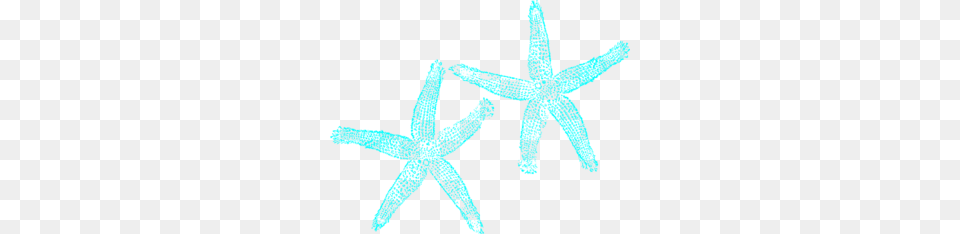 Turquoise Starfish Clip Art, Animal, Sea Life, Invertebrate, Person Free Png Download