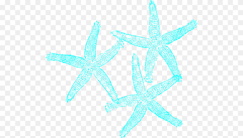 Turquoise Starfish Clipart Turquoise Coral Clipart, Animal, Invertebrate, Sea Life, Person Png Image