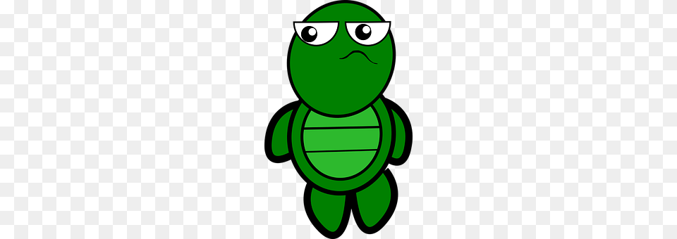 Turtle Green, Toy Free Transparent Png